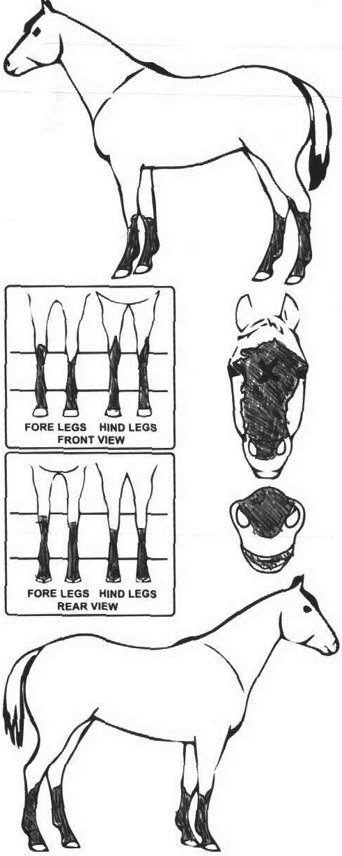 iCompete - Animal Details