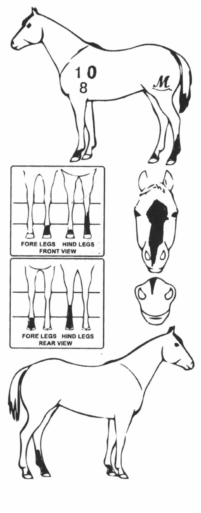 Animals Marking Image