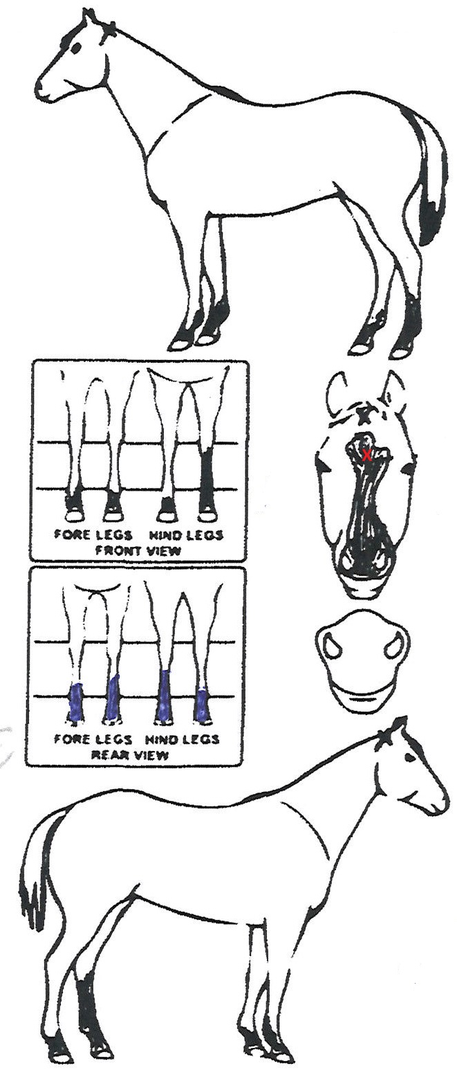 Animals Marking Image