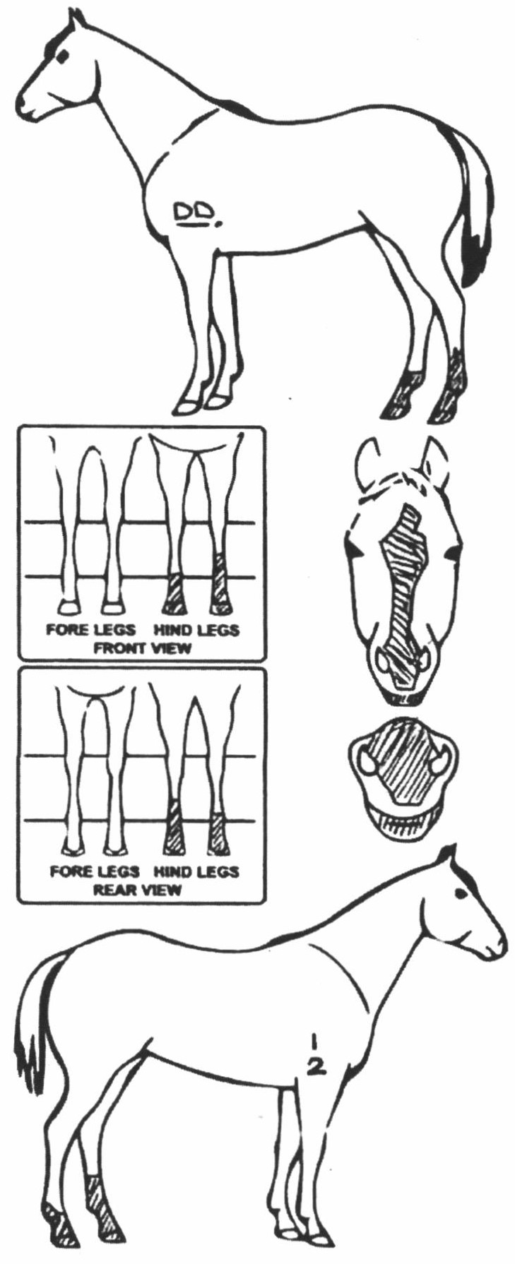 Animals Marking Image