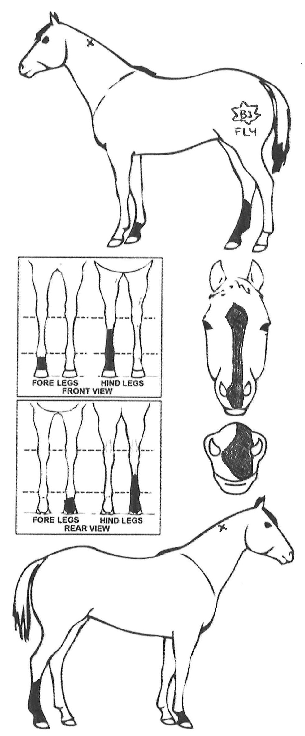 Animals Marking Image