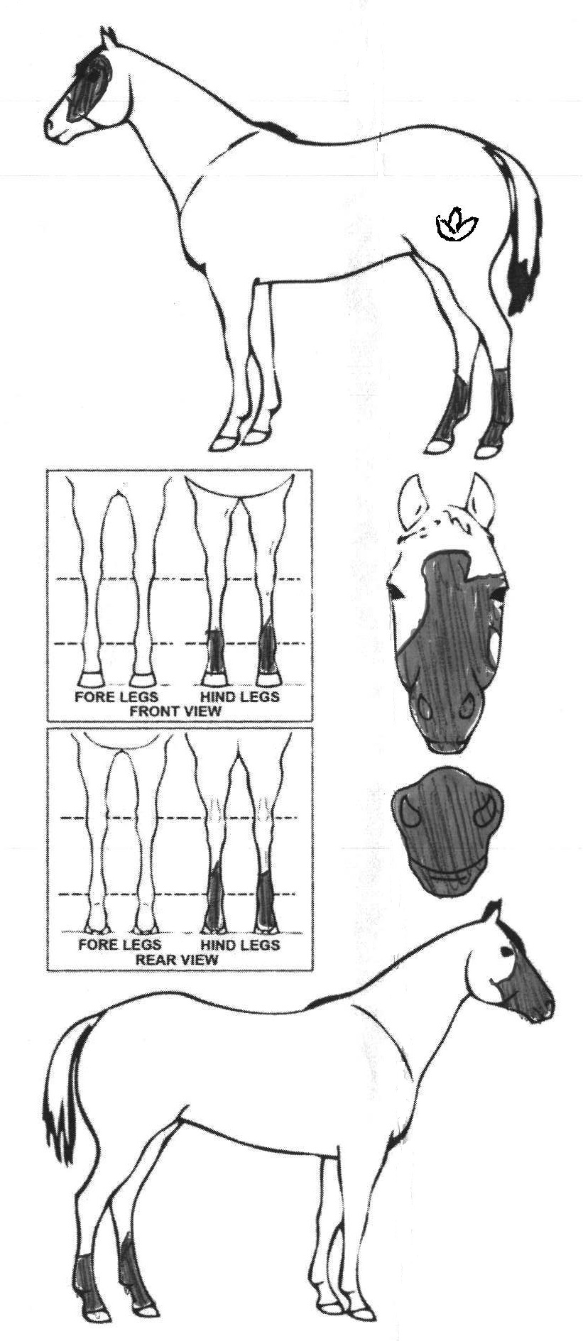 Animals Marking Image